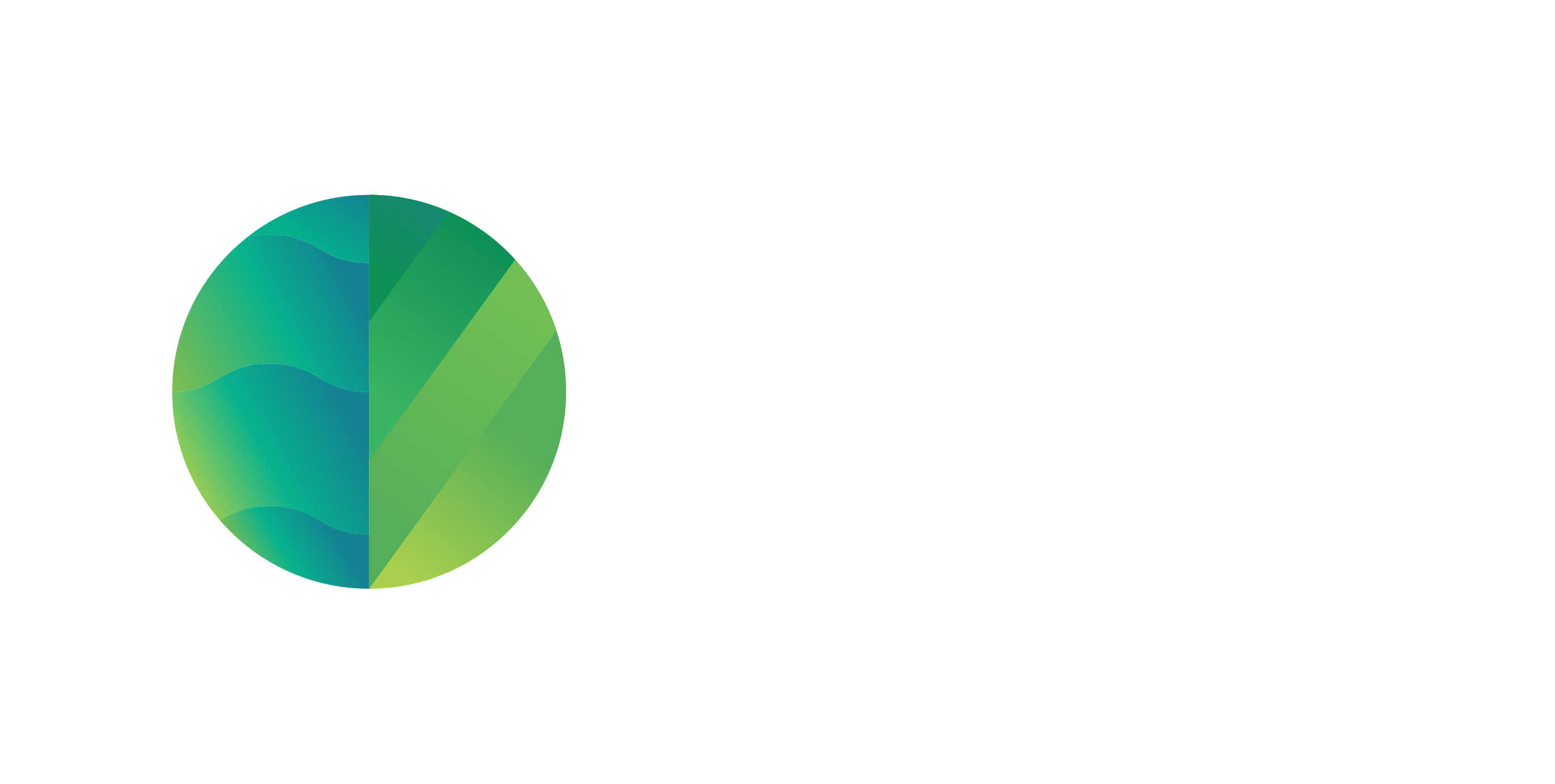 Sustainable Travel Finland